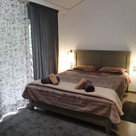 Holiday And Business Home Agios Vasilios  Екстериор снимка