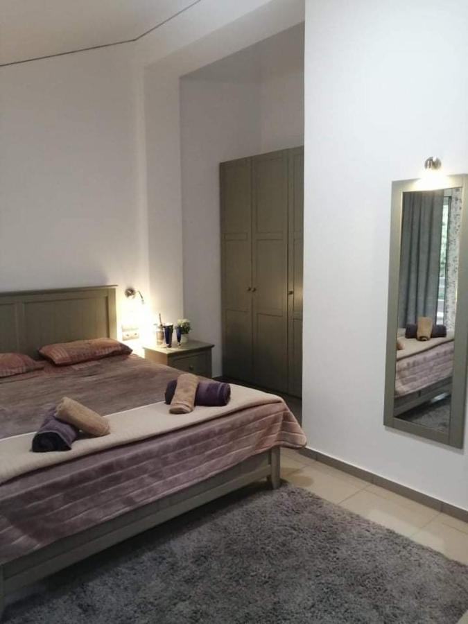 Holiday And Business Home Agios Vasilios  Екстериор снимка